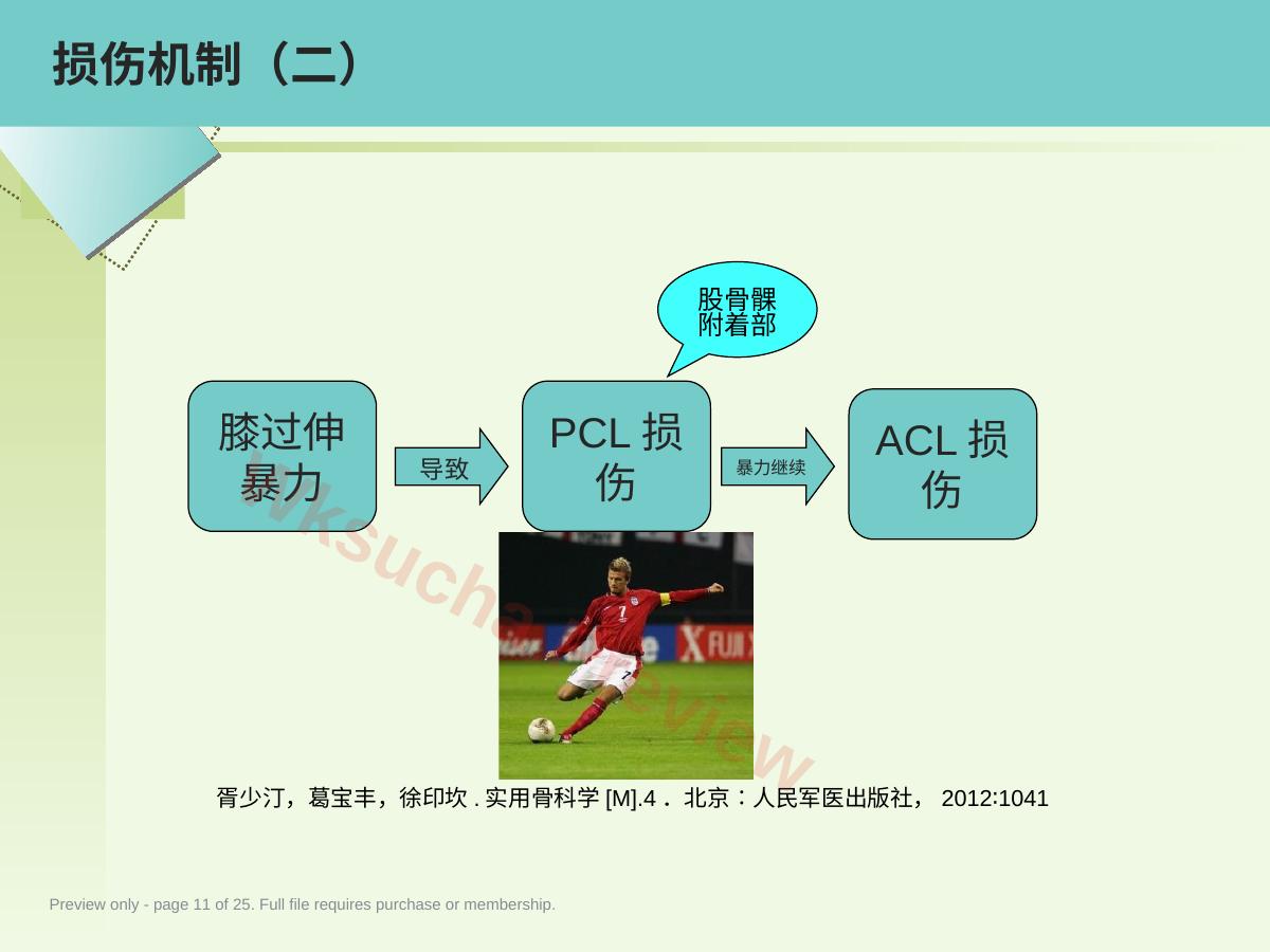 预览第 11 页