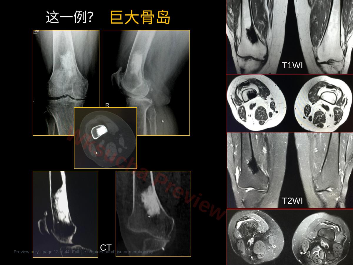 预览第 12 页