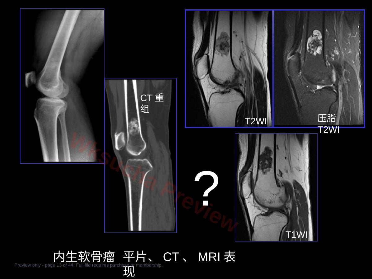 预览第 13 页