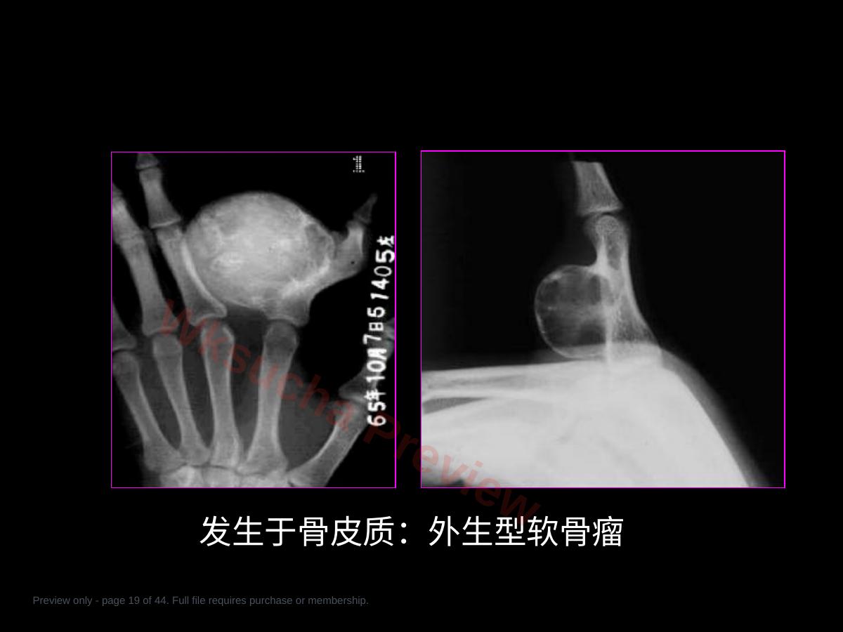 预览第 19 页