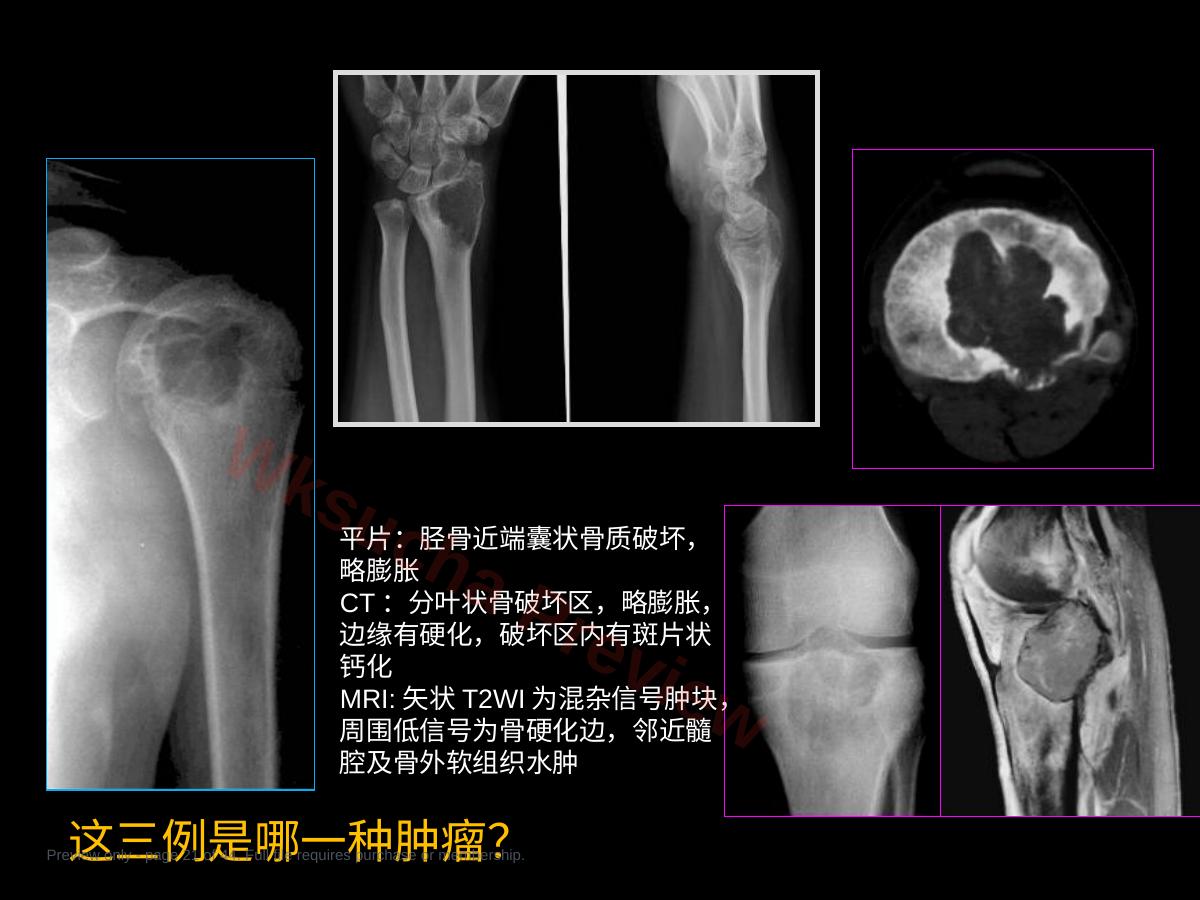 预览第 21 页