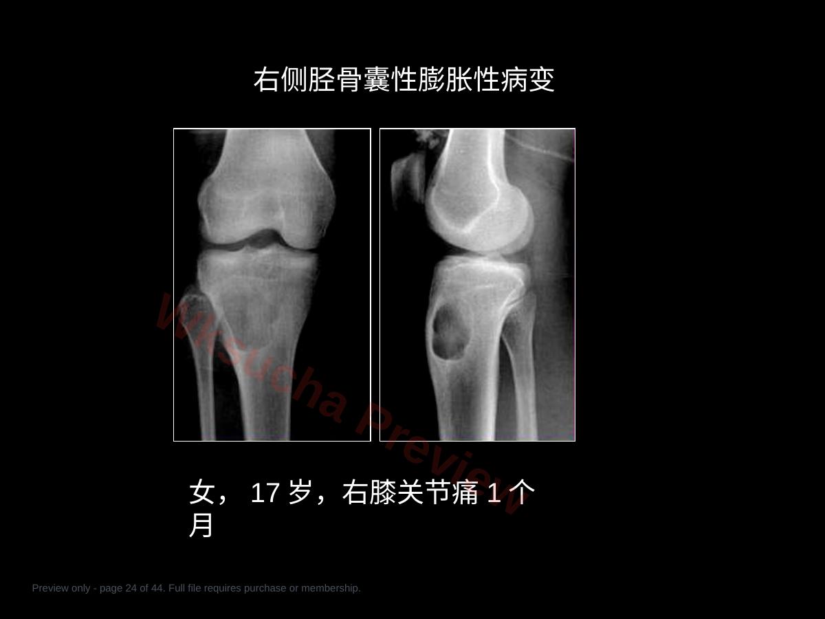 预览第 24 页
