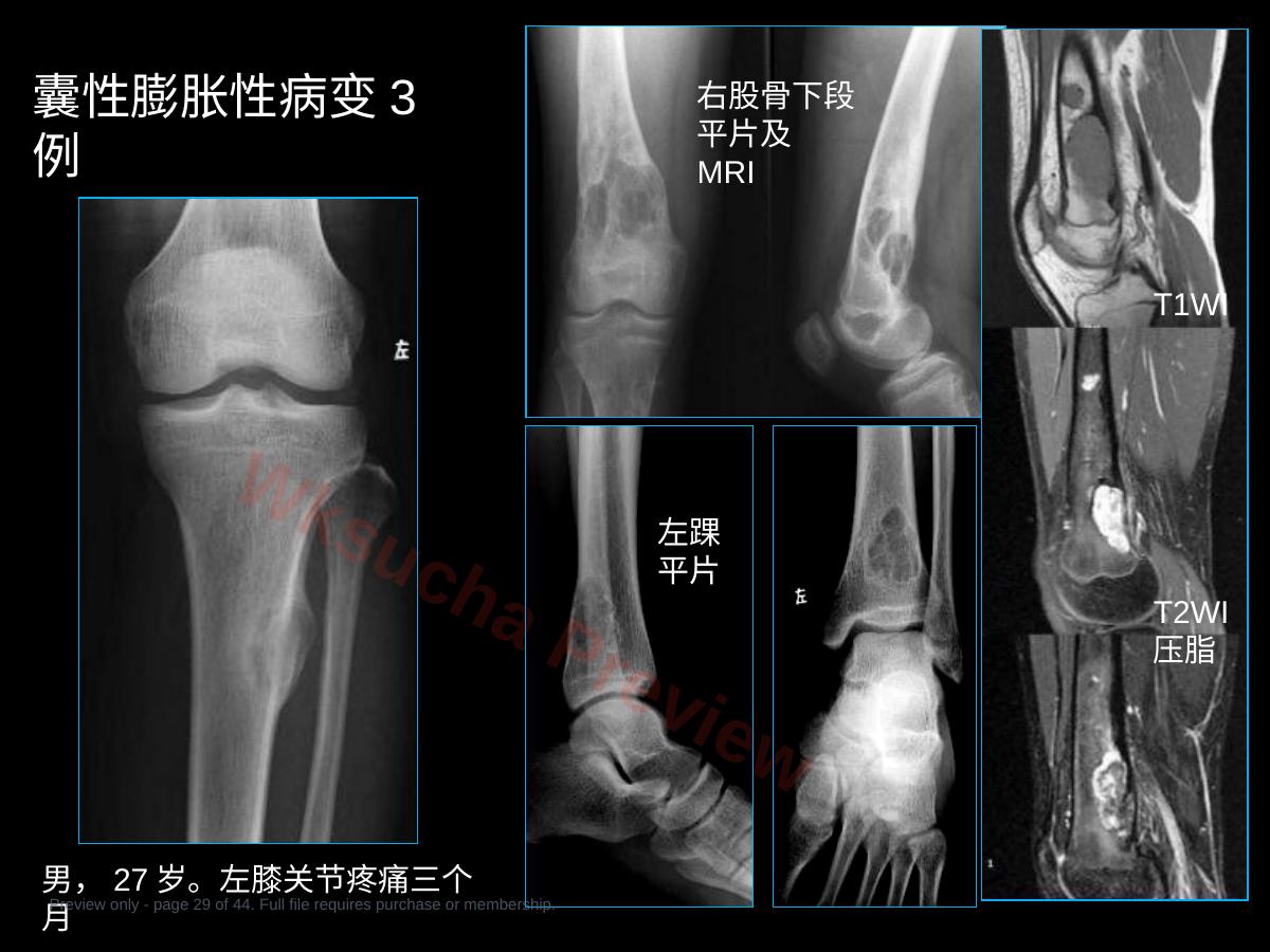 预览第 29 页