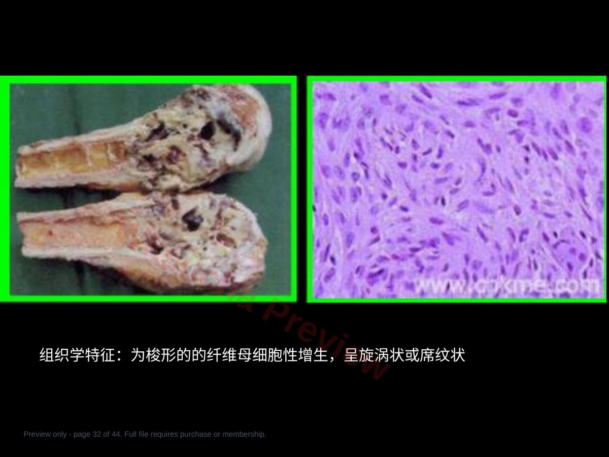 预览第 32 页