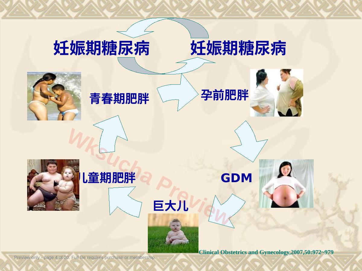 预览第 4 页