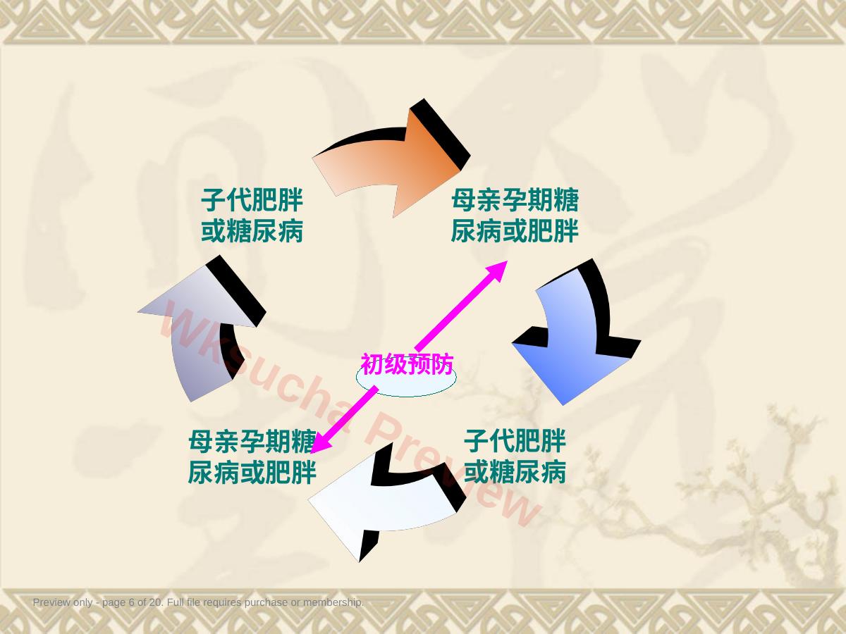 预览第 6 页