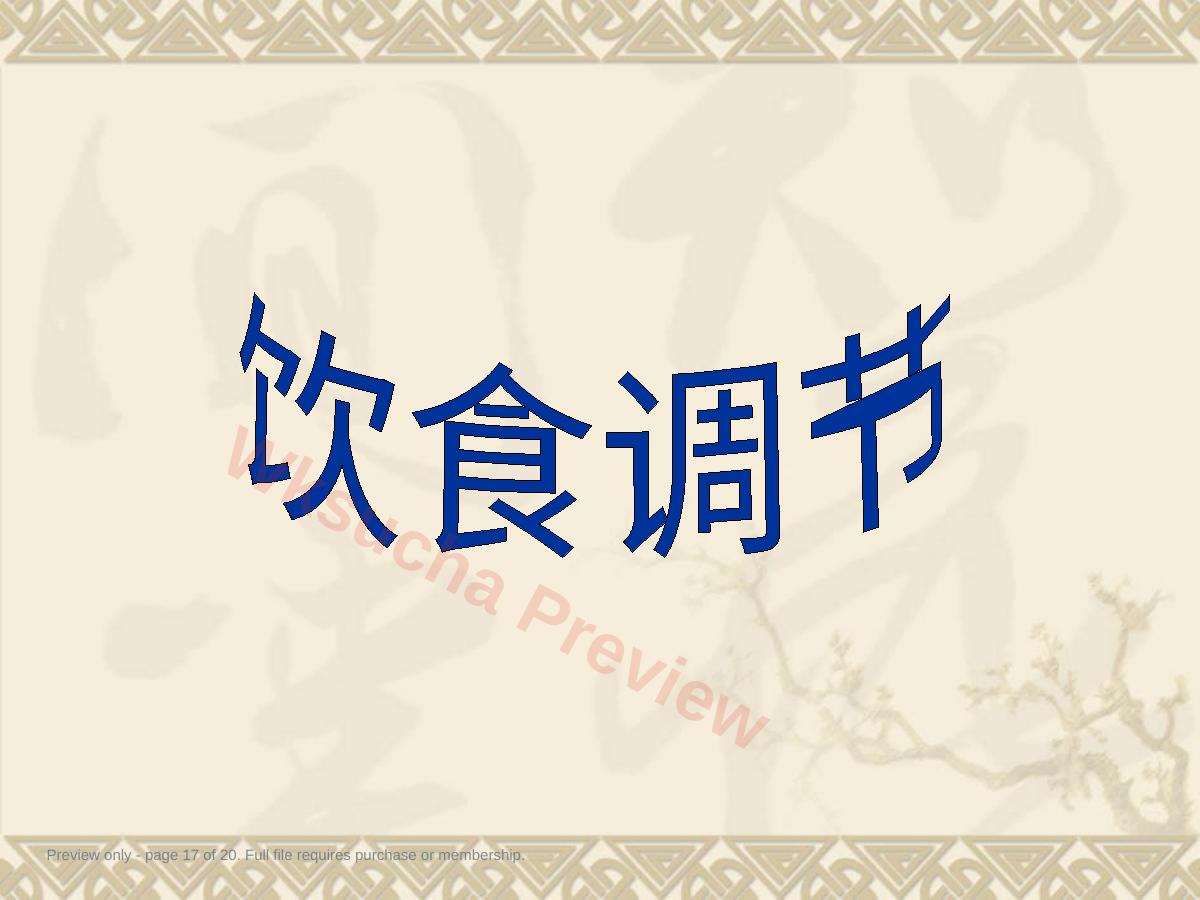 预览第 17 页