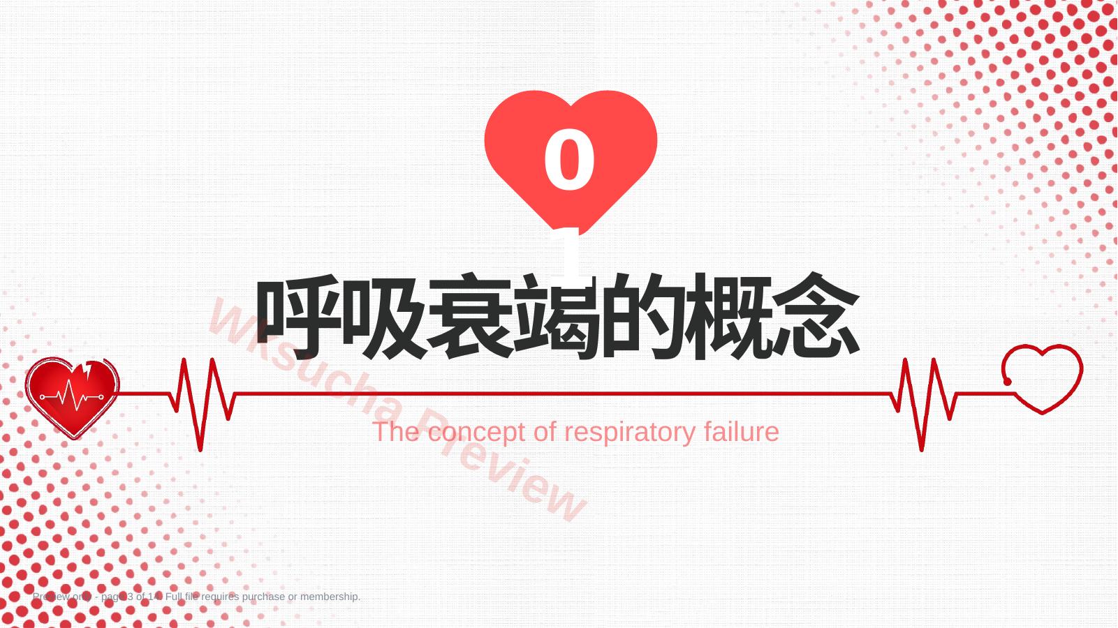 预览第 3 页