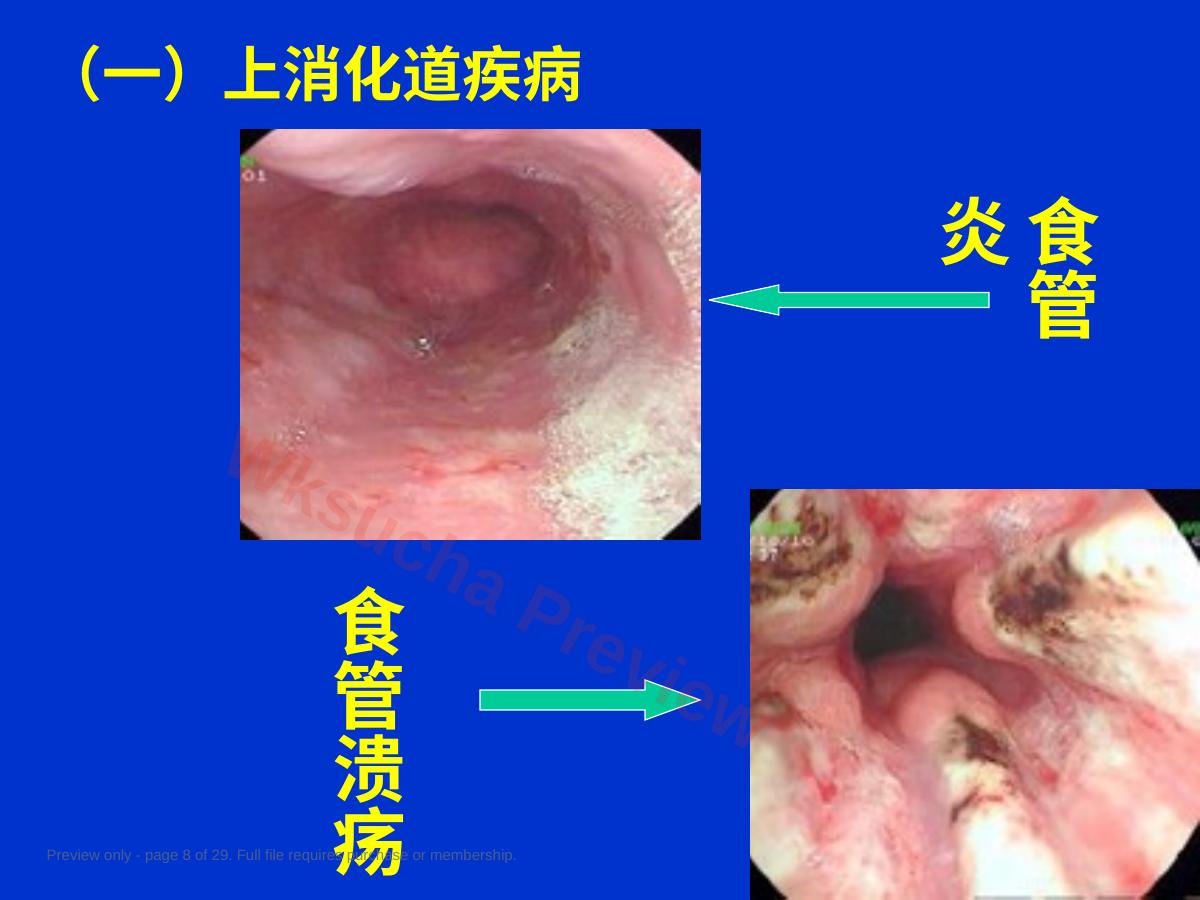 预览第 8 页