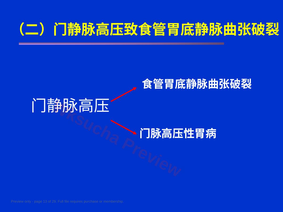 预览第 13 页