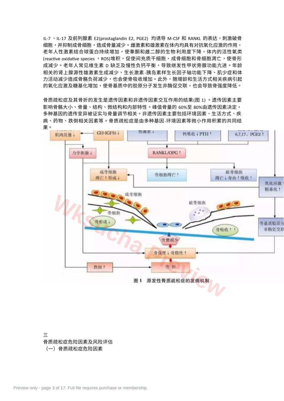 预览第 3 页