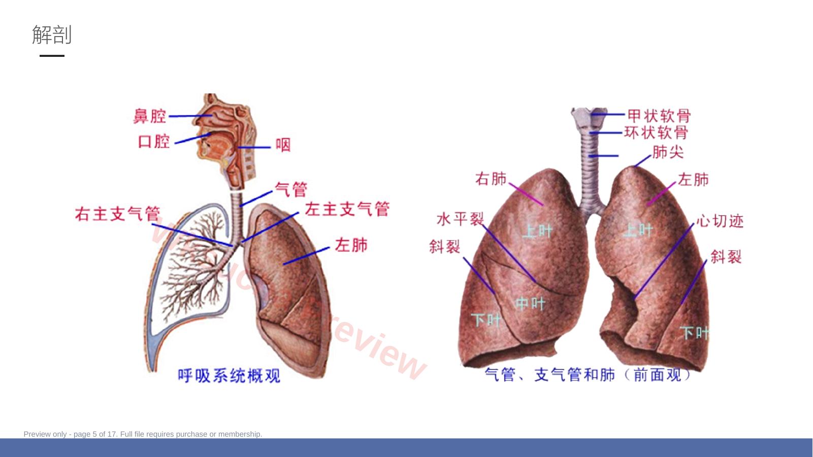 预览第 5 页