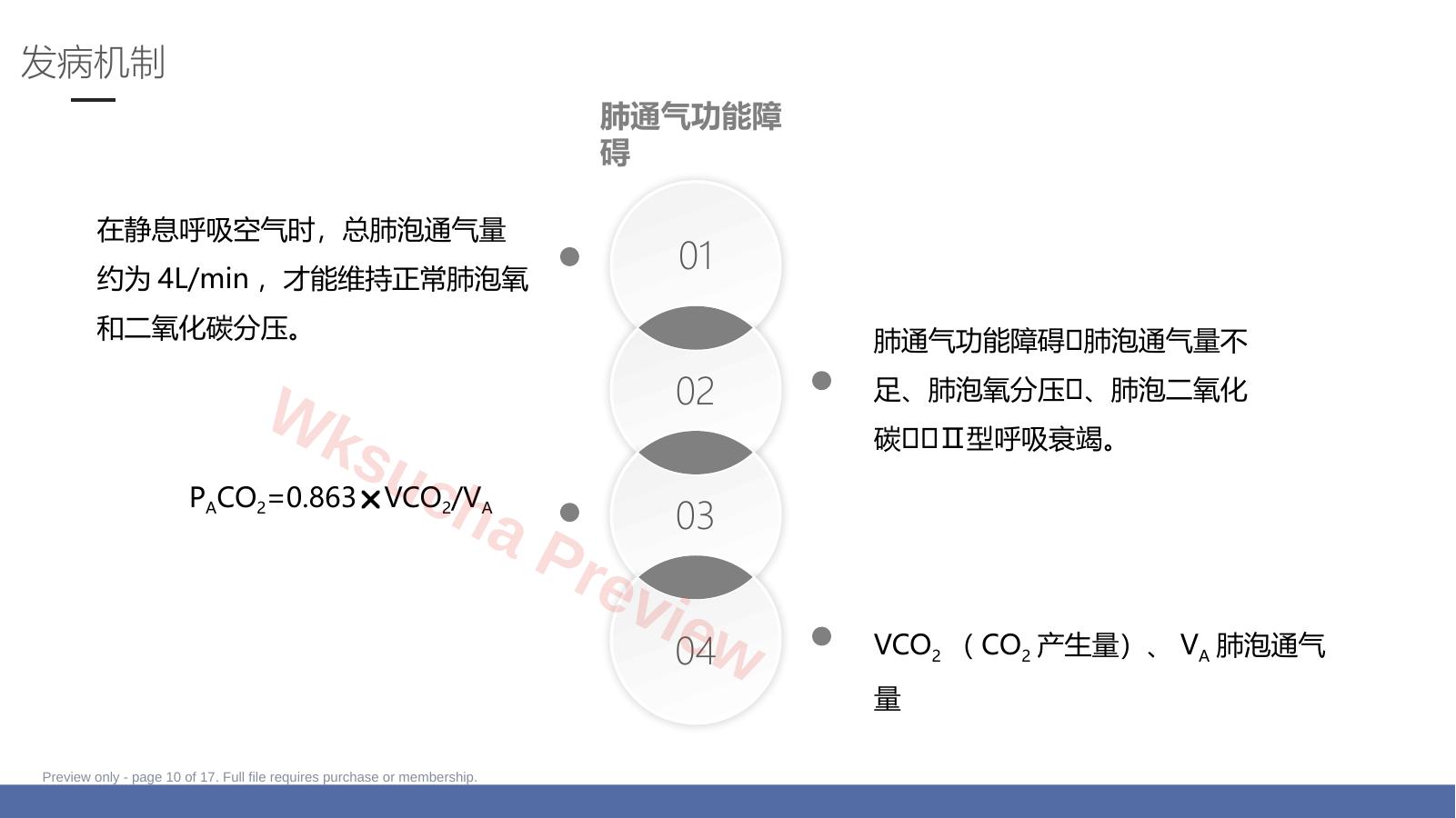 预览第 10 页