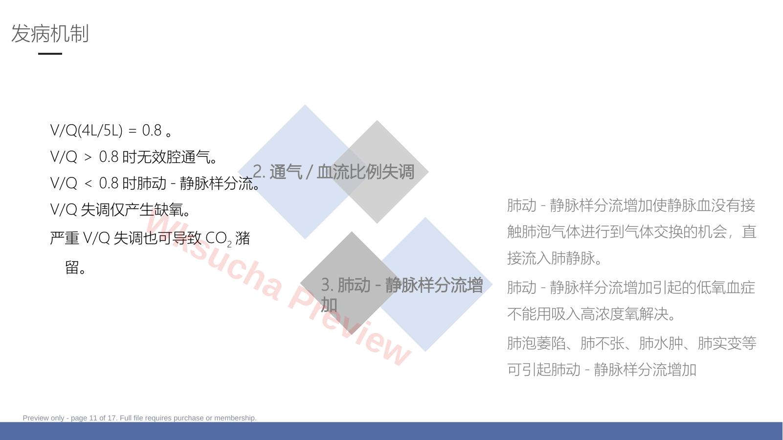 预览第 11 页