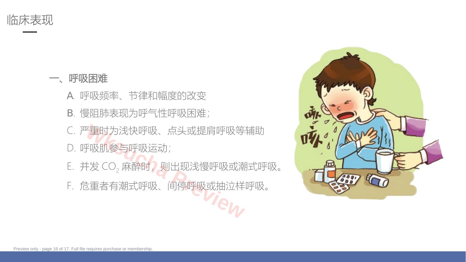 预览第 16 页