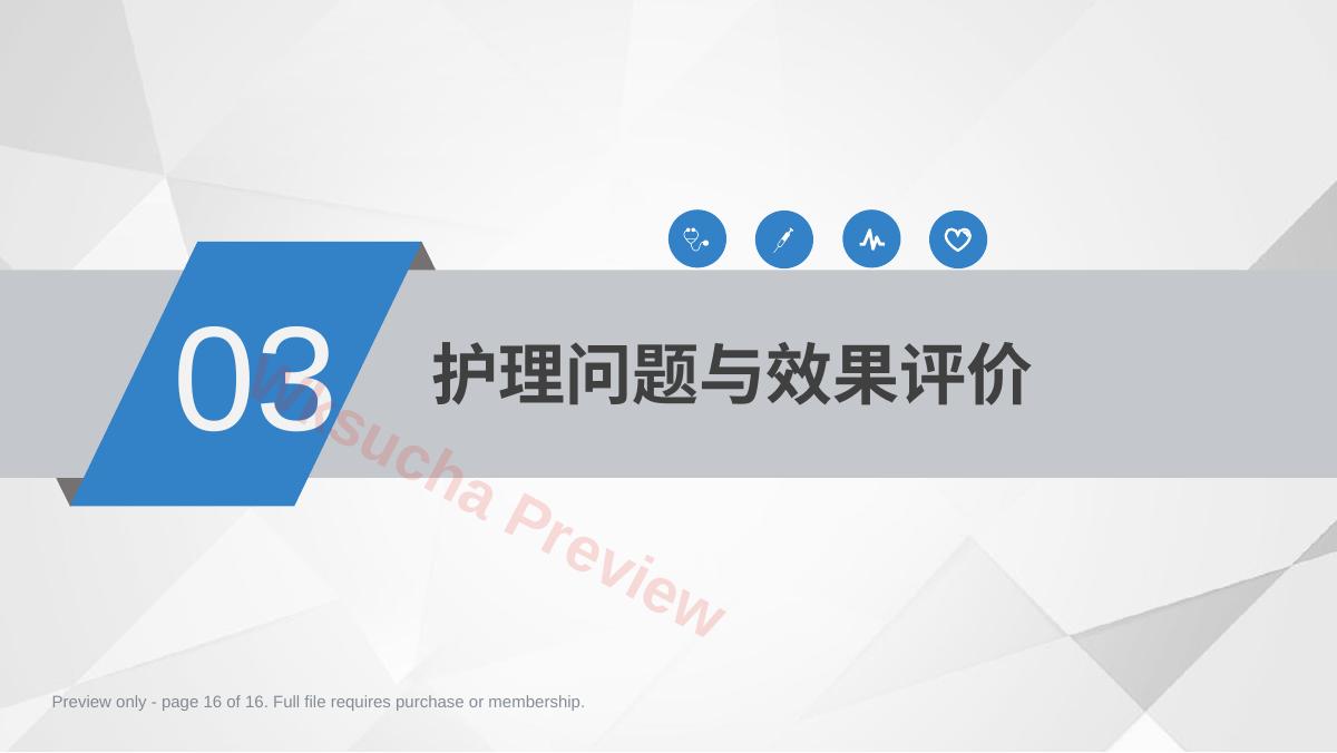 预览第 16 页
