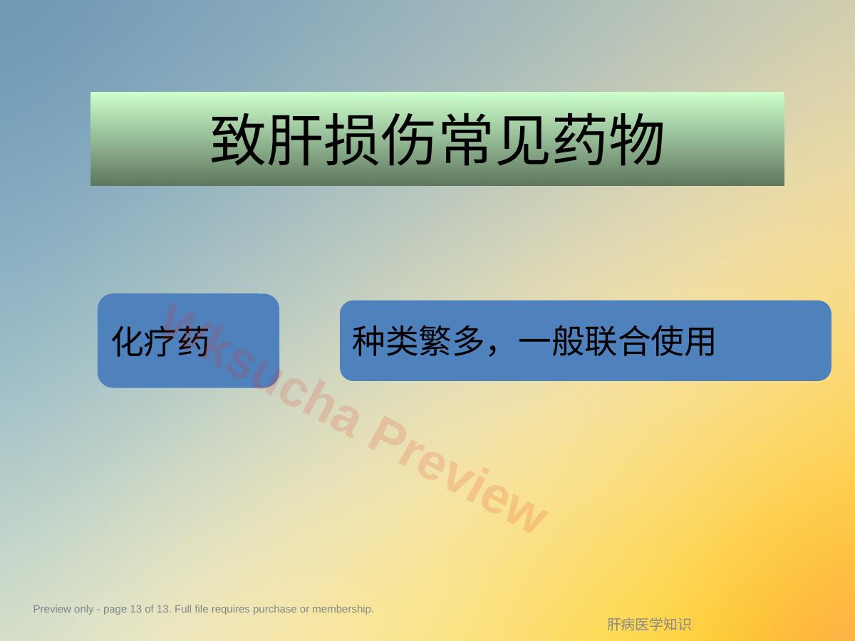 预览第 13 页
