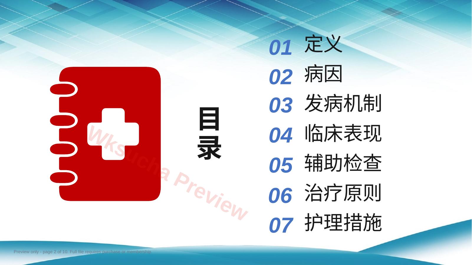 预览第 2 页