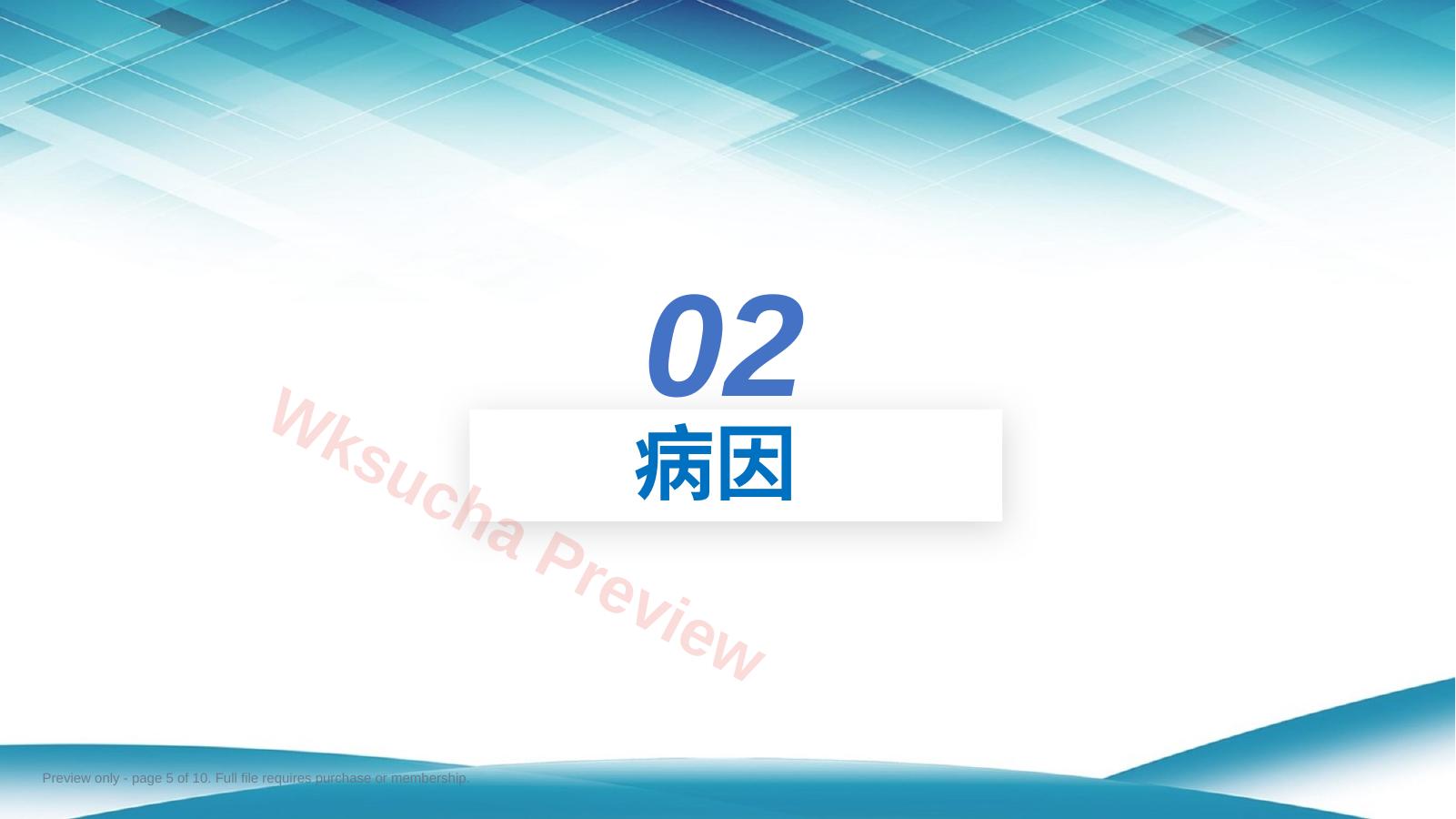 预览第 5 页