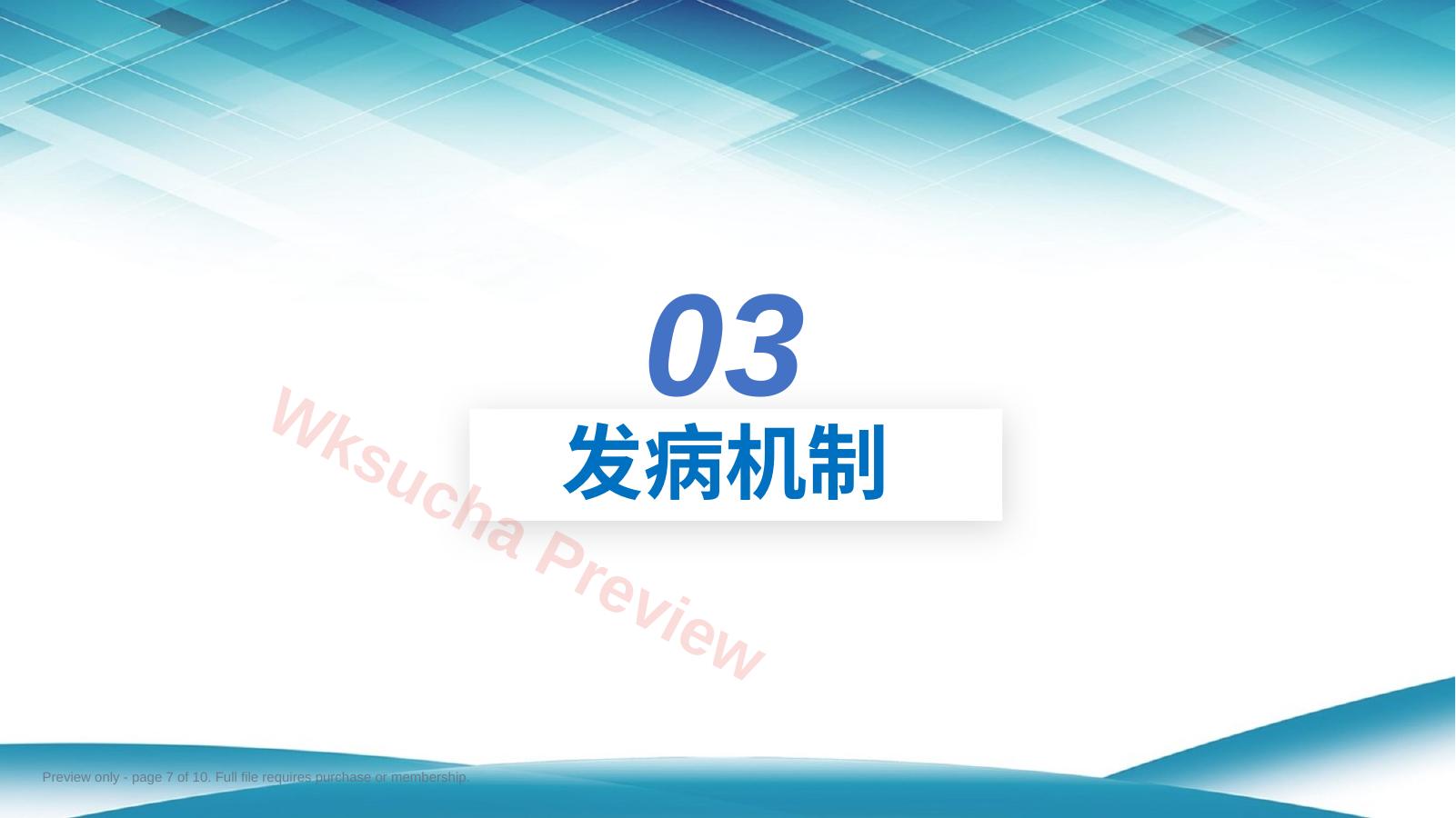 预览第 7 页