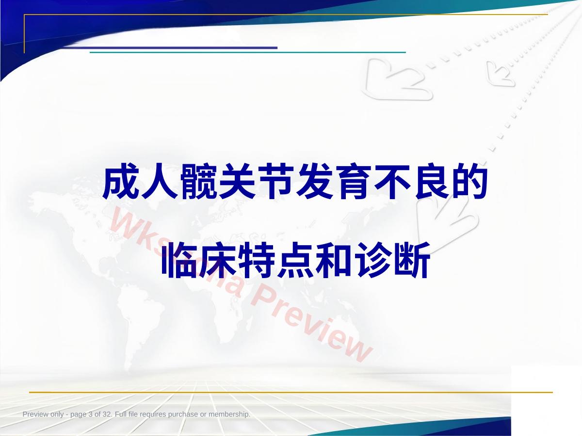 预览第 3 页