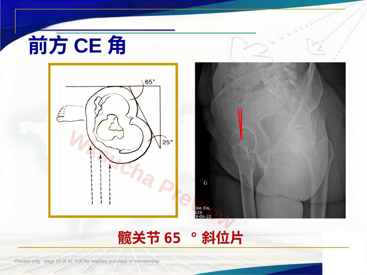 预览第 10 页