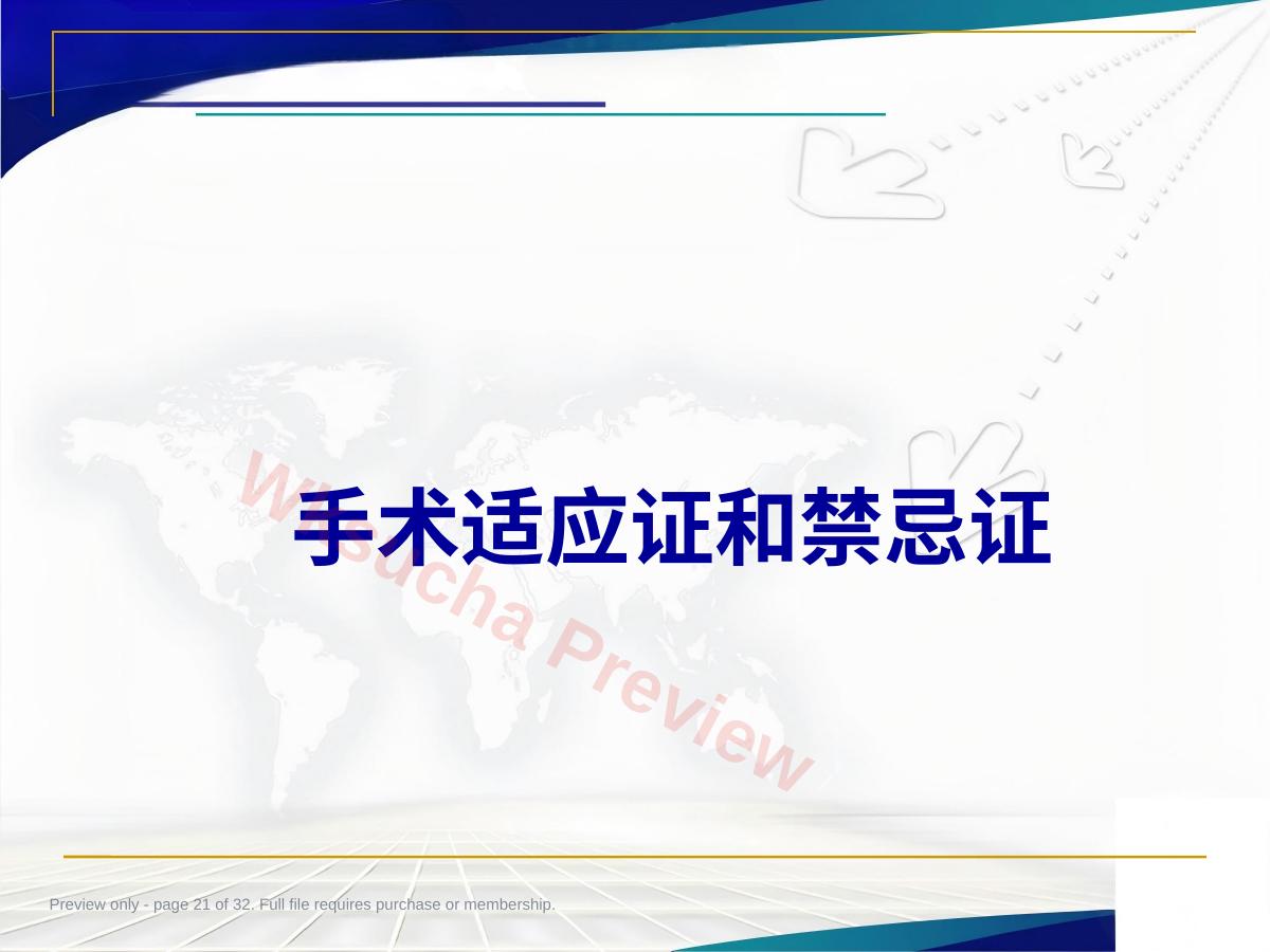 预览第 21 页