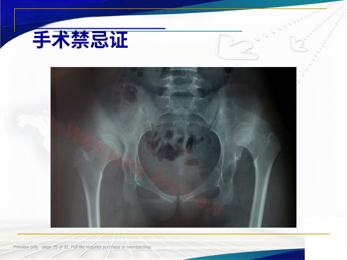 预览第 25 页