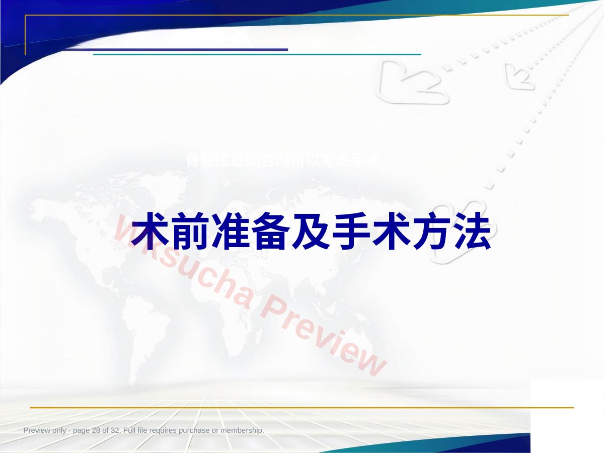 预览第 28 页