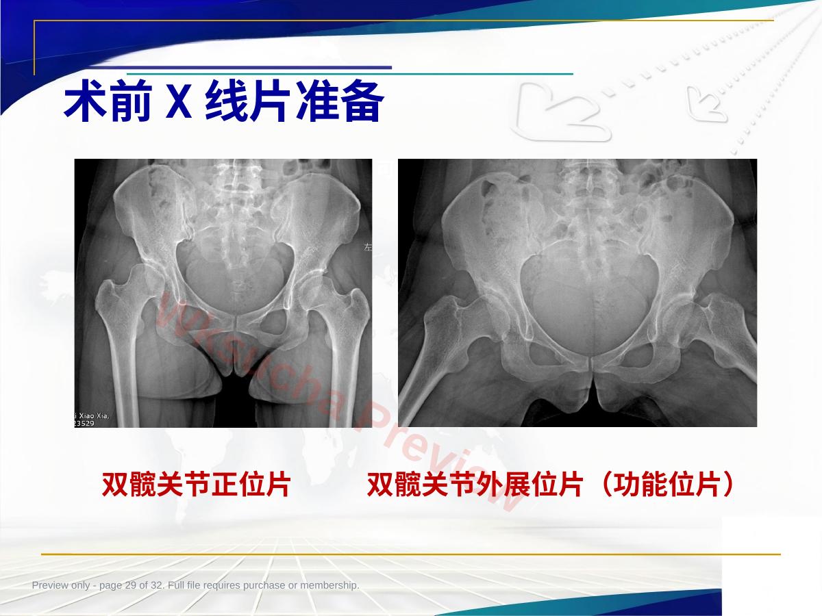 预览第 29 页