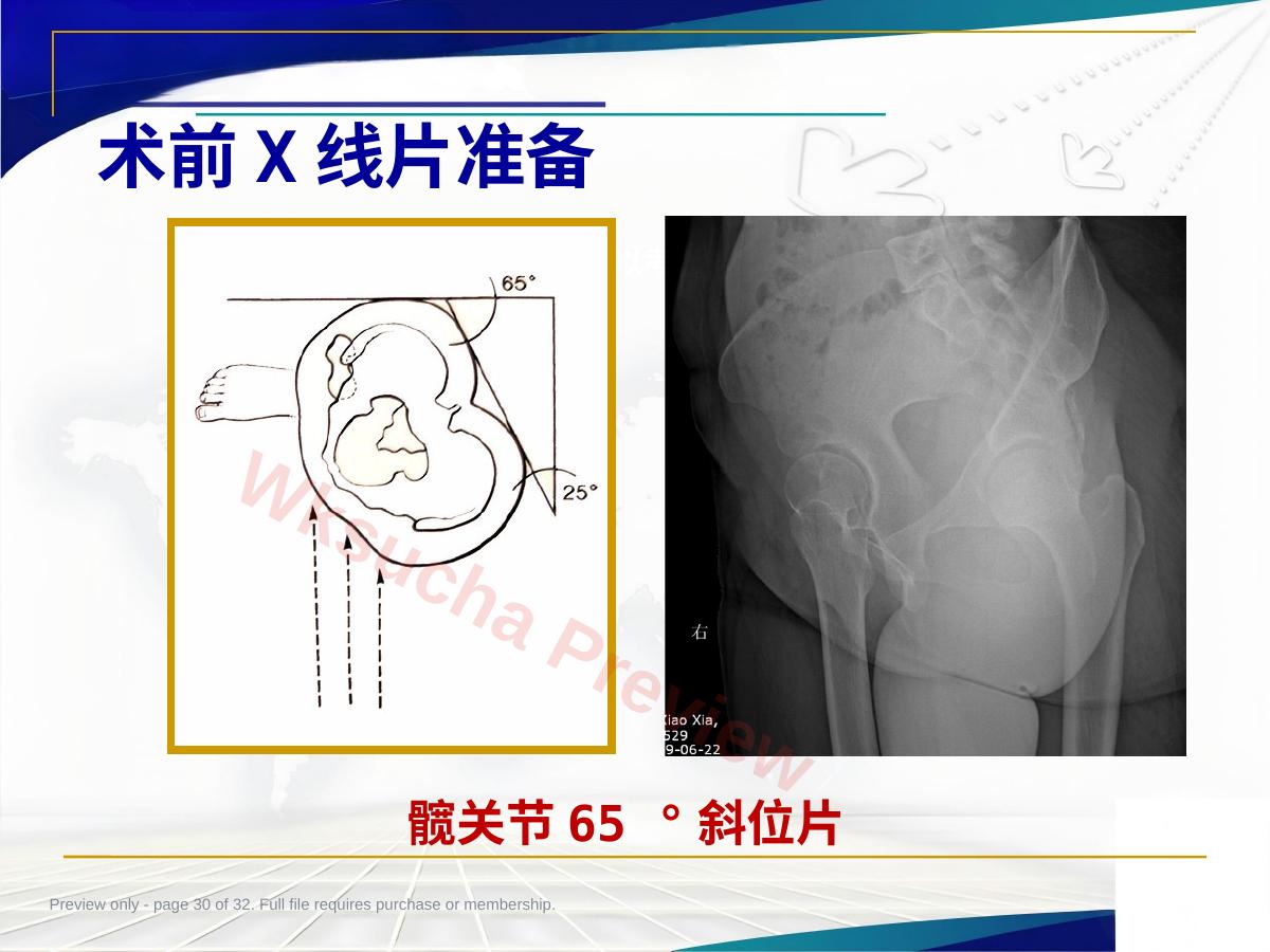 预览第 30 页