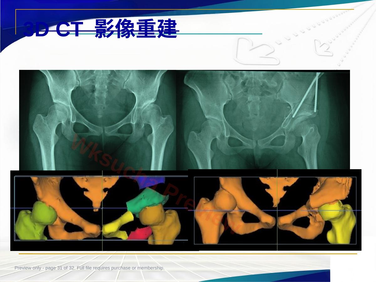 预览第 31 页