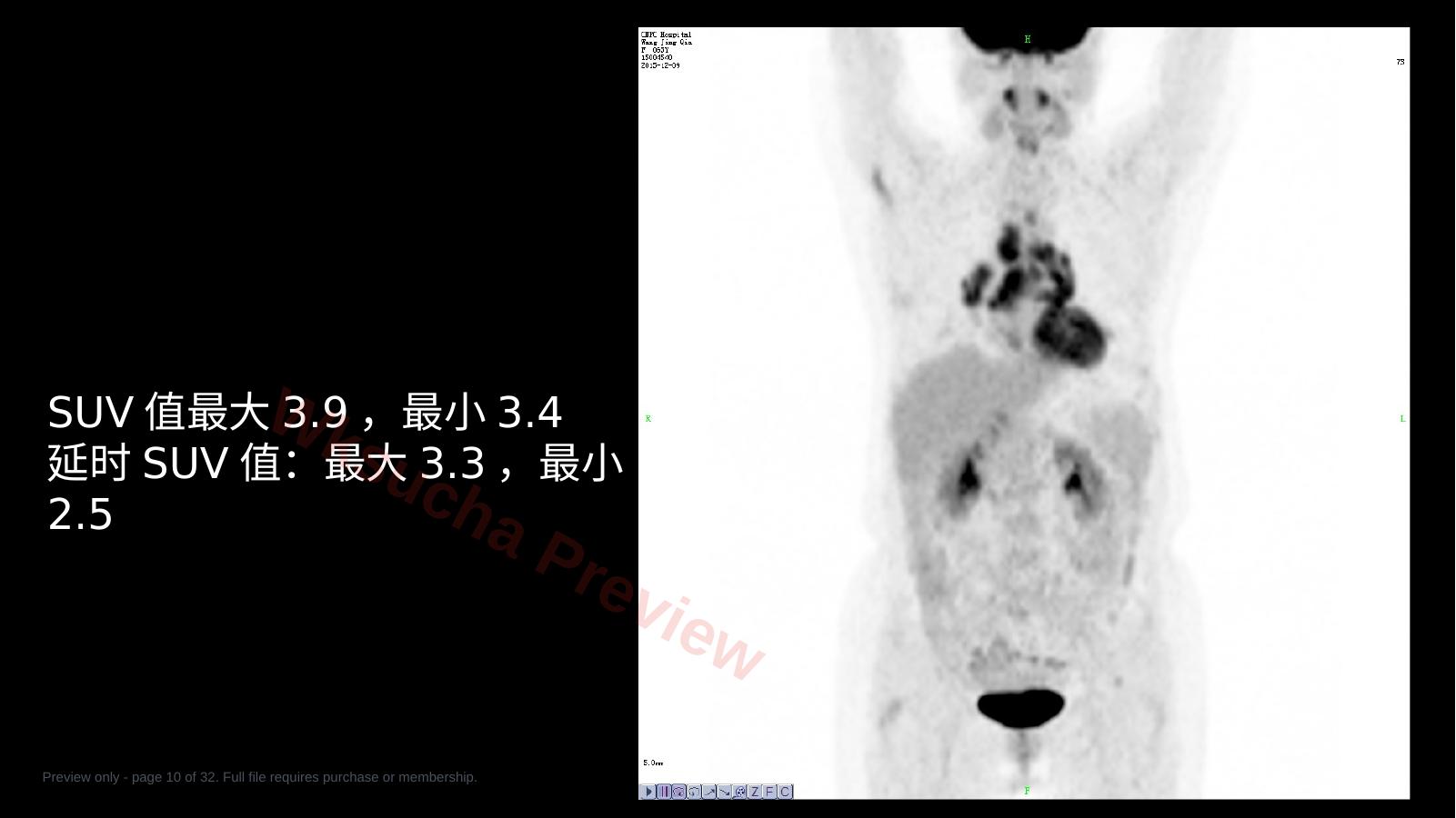 预览第 10 页