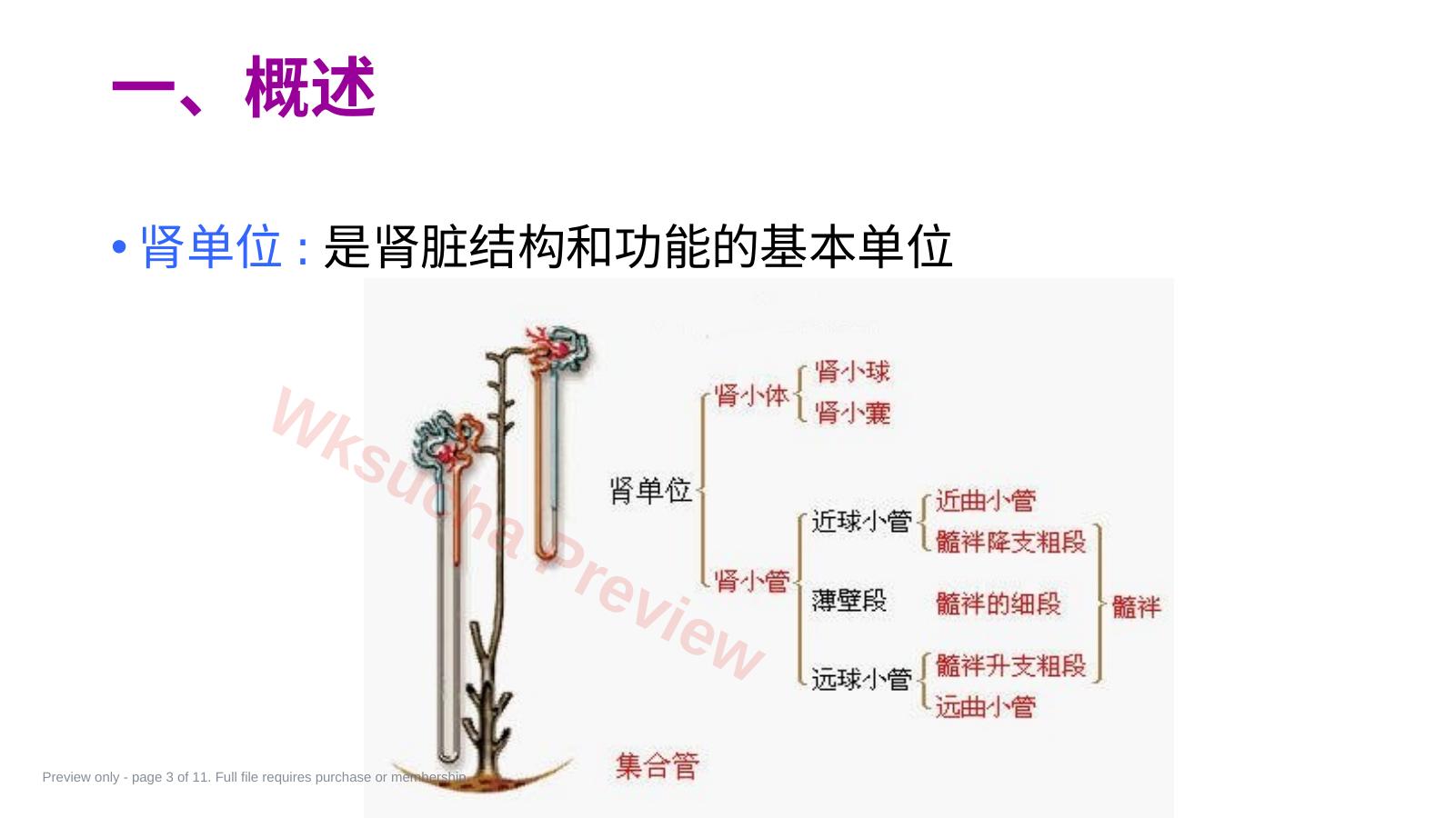预览第 3 页