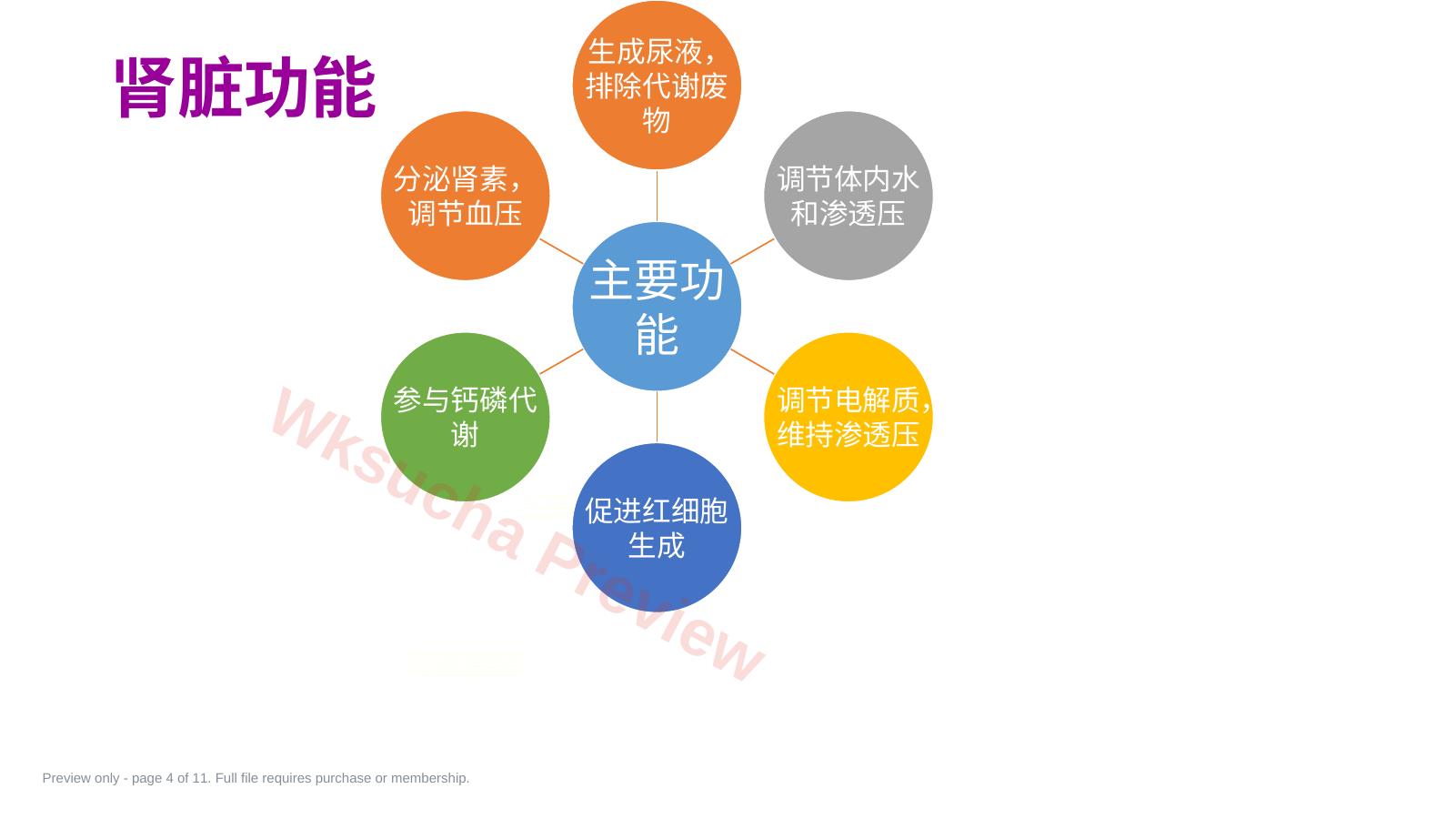 预览第 4 页