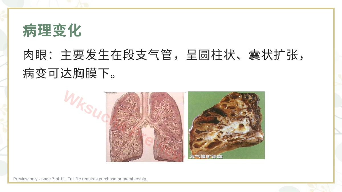 预览第 7 页