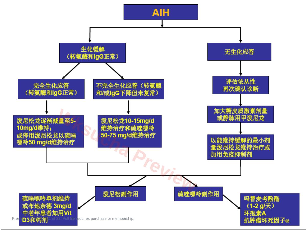 预览第 21 页