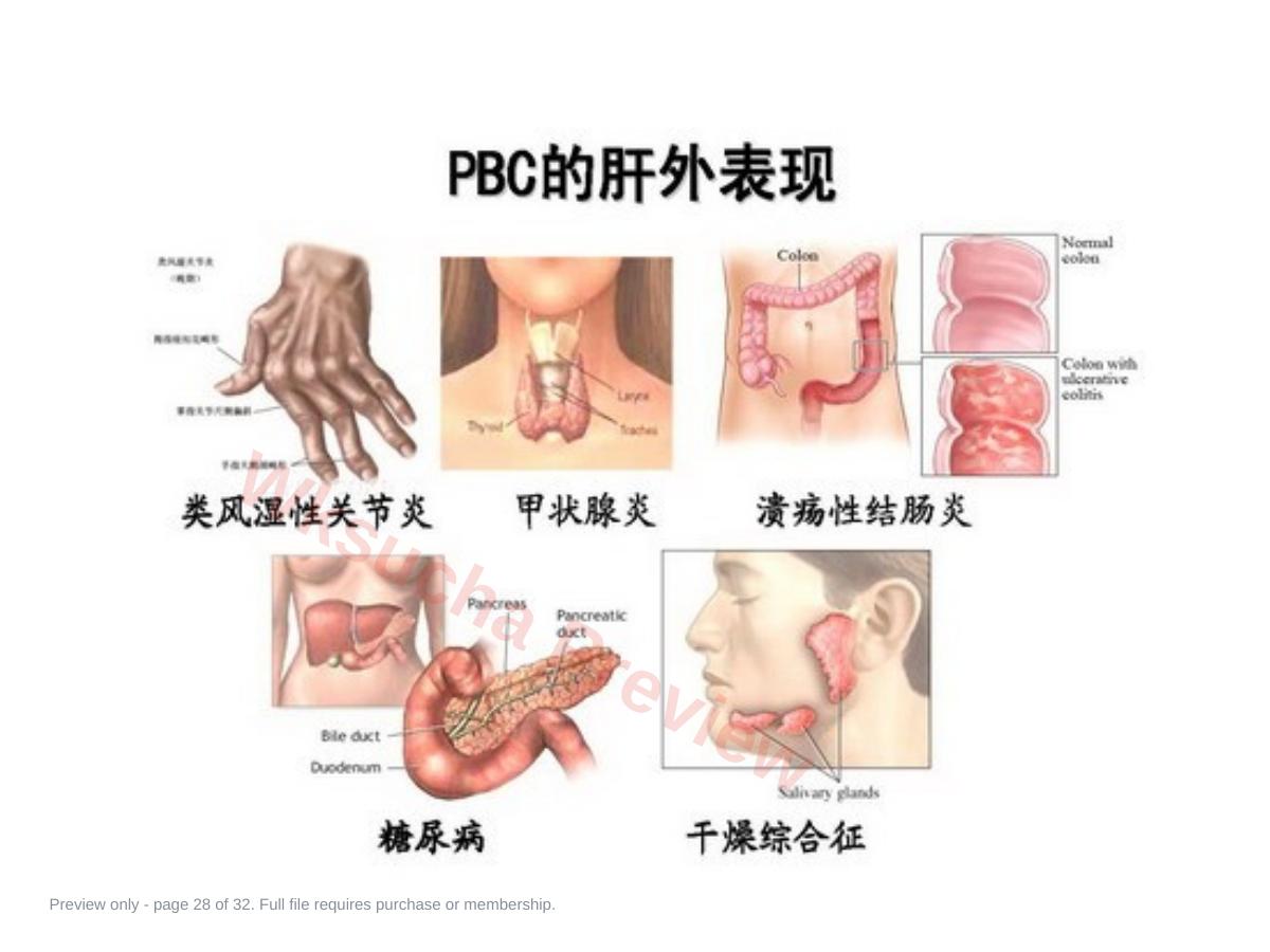 预览第 28 页