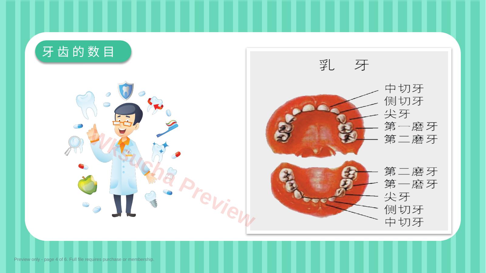 预览第 4 页