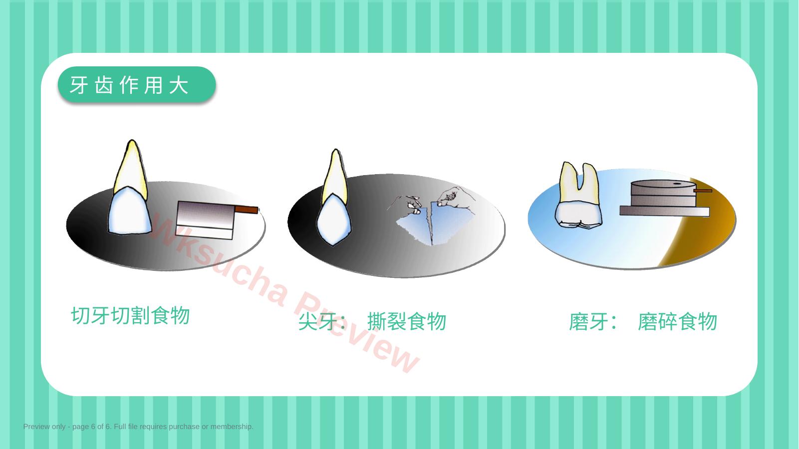 预览第 6 页