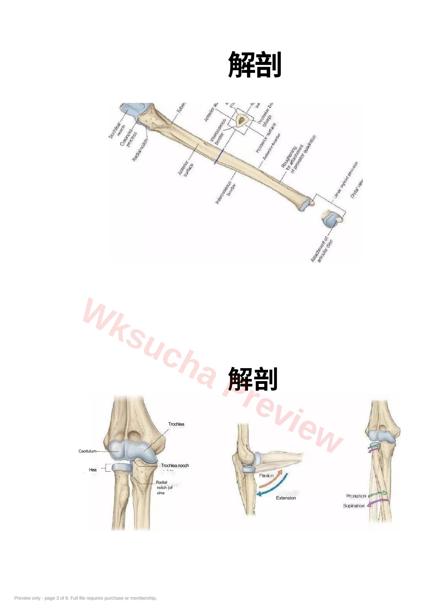 预览第 3 页