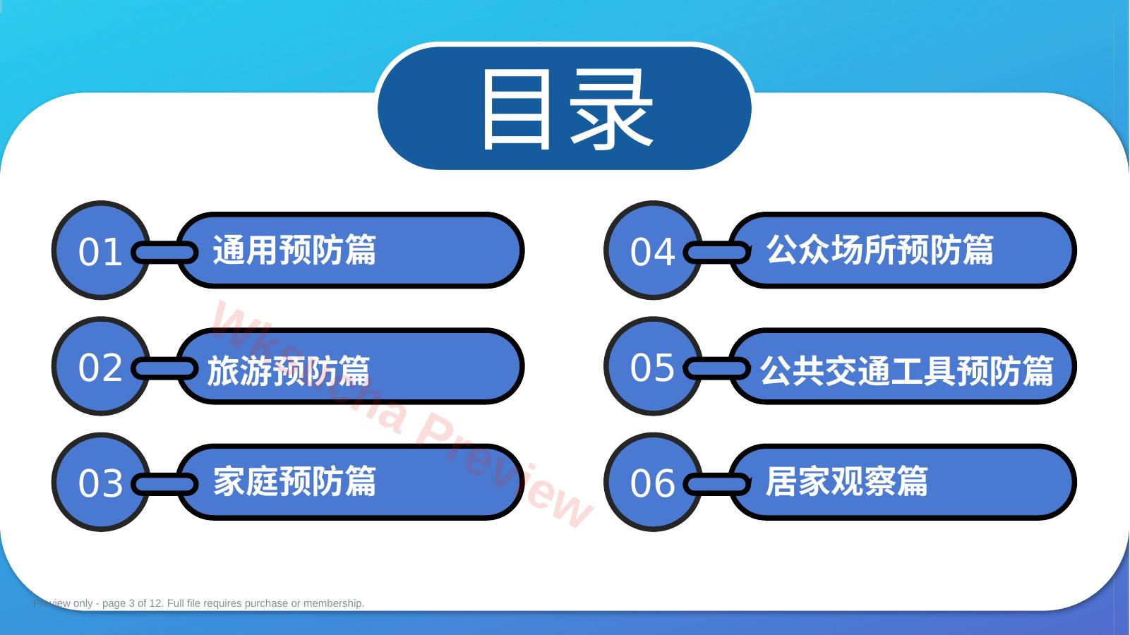 预览第 3 页