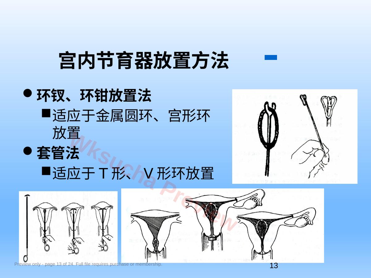 预览第 13 页
