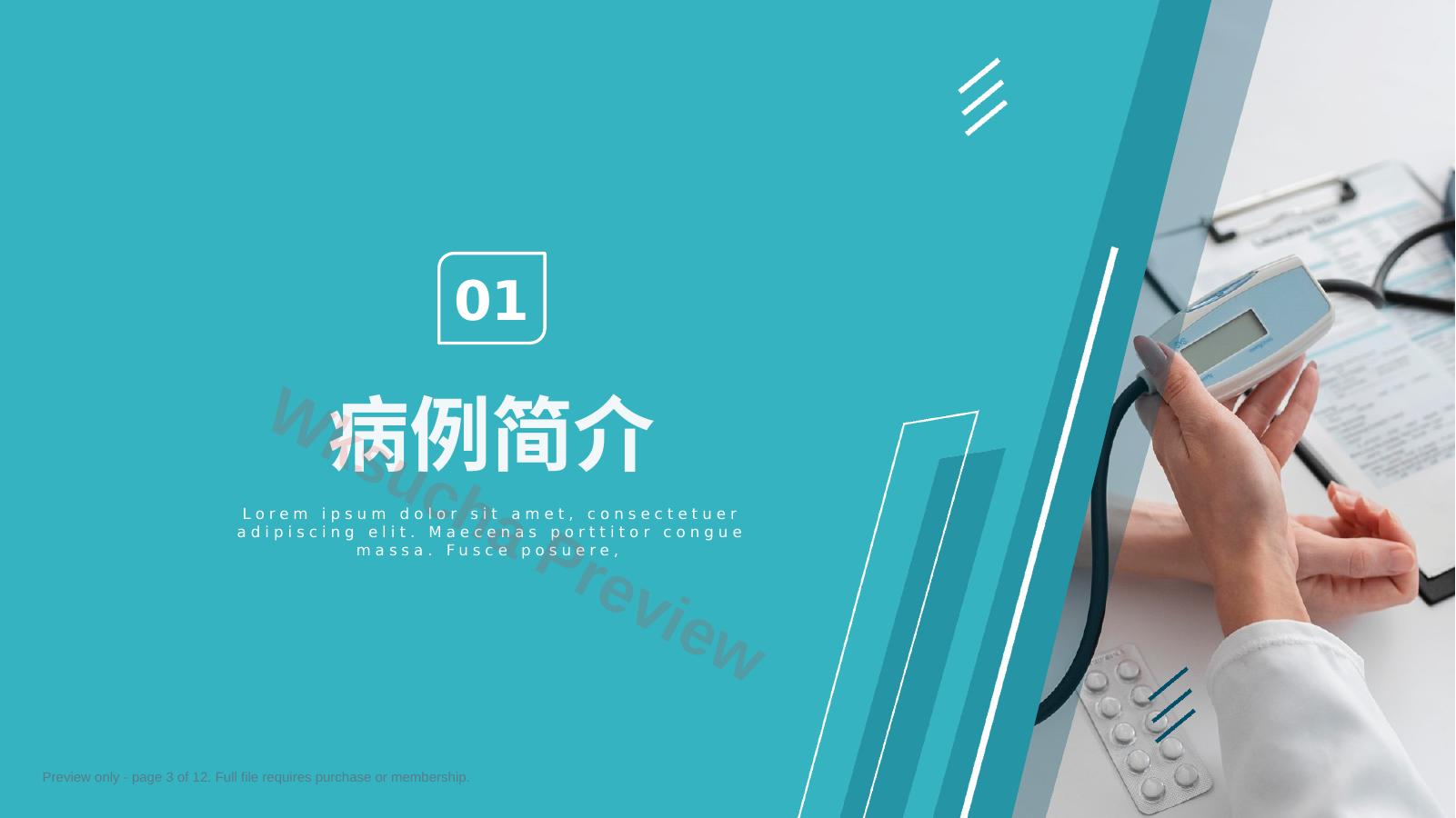 预览第 3 页
