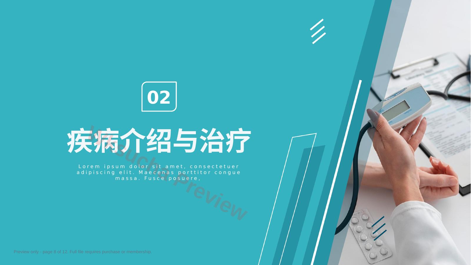 预览第 8 页