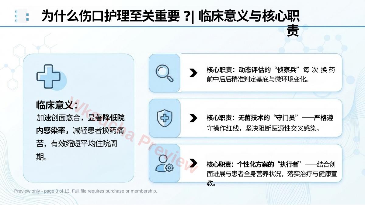 预览第 3 页