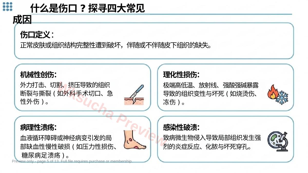 预览第 5 页