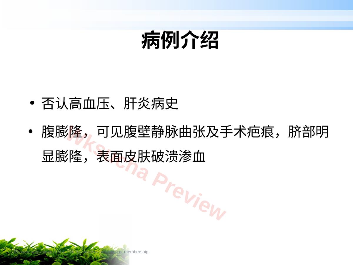 预览第 4 页
