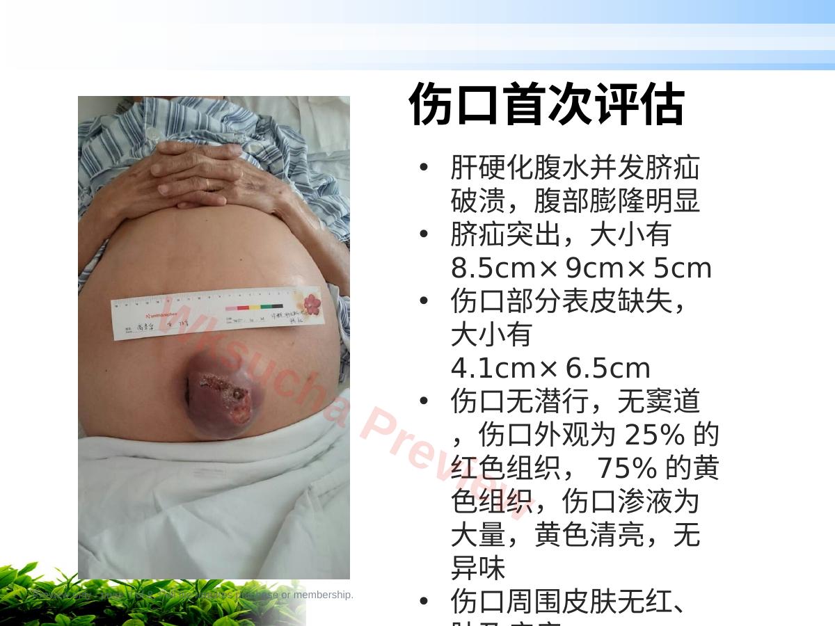 预览第 7 页