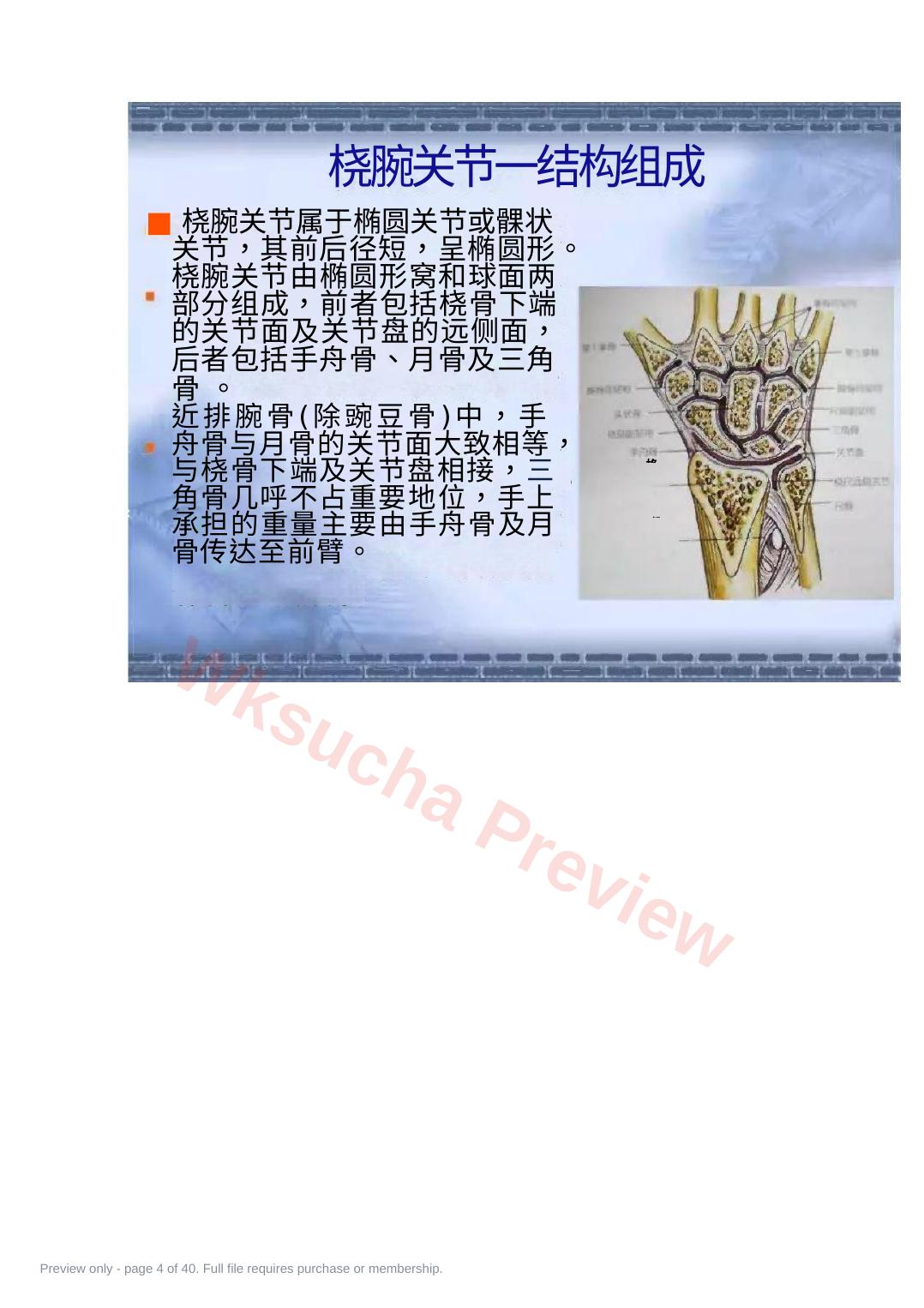 预览第 4 页